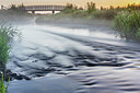 BUITEN BEELD Foto: 354152