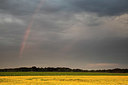 BUITEN BEELD Foto: 354180