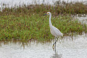 BUITEN BEELD Foto: 354194