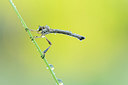 BUITEN BEELD Foto: 354220