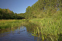 BUITEN BEELD Foto: 354432