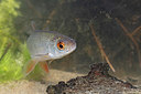 BUITEN BEELD Foto: 354445
