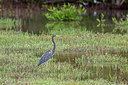 BUITEN BEELD Foto: 354526