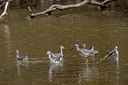 BUITEN BEELD Foto: 354691