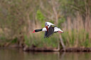 BUITEN BEELD Foto: 354786