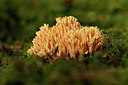 BUITEN BEELD Foto: 354954