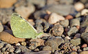 BUITEN BEELD Foto: 355036