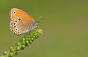 BUITEN BEELD Foto: 355083