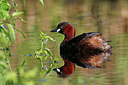 BUITEN BEELD Foto: 355115