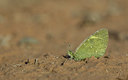 BUITEN BEELD Foto: 355120