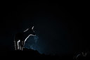 BUITEN BEELD Foto: 355265