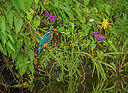 BUITEN BEELD Foto: 355386