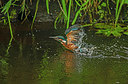 BUITEN BEELD Foto: 355387