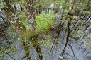 BUITEN BEELD Foto: 355460