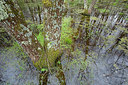 BUITEN BEELD Foto: 355461