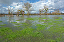 BUITEN BEELD Foto: 355462