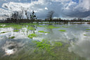 BUITEN BEELD Foto: 355465