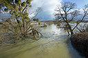 BUITEN BEELD Foto: 355467