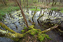 BUITEN BEELD Foto: 355475