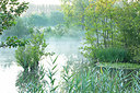 BUITEN BEELD Foto: 355490