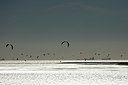 BUITEN BEELD Foto: 355582