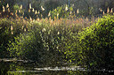 BUITEN BEELD Foto: 355659