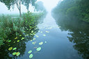 BUITEN BEELD Foto: 355675