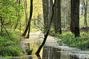 BUITEN BEELD Foto: 355728
