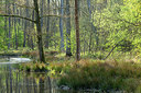 BUITEN BEELD Foto: 355772