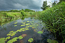 BUITEN BEELD Foto: 355819