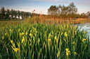 BUITEN BEELD Foto: 355836