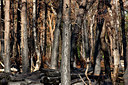 BUITEN BEELD Foto: 355845