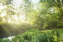 BUITEN BEELD Foto: 355887