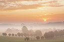 BUITEN BEELD Foto: 355899