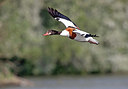 BUITEN BEELD Foto: 355903