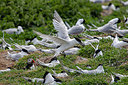 BUITEN BEELD Foto: 355921