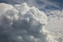 BUITEN BEELD Foto: 356047
