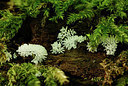 BUITEN BEELD Foto: 356053