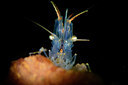 BUITEN BEELD Foto: 356202