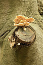 BUITEN BEELD Foto: 356280