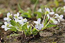 BUITEN BEELD Foto: 356361