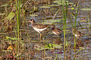 BUITEN BEELD Foto: 356459