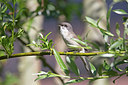 BUITEN BEELD Foto: 356492
