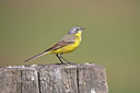 BUITEN BEELD Foto: 356503