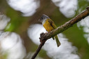 BUITEN BEELD Foto: 356521