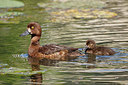 BUITEN BEELD Foto: 356566