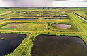 BUITEN BEELD Foto: 356582