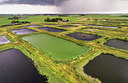 BUITEN BEELD Foto: 356583