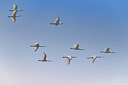 BUITEN BEELD Foto: 356680