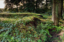 BUITEN BEELD Foto: 356754